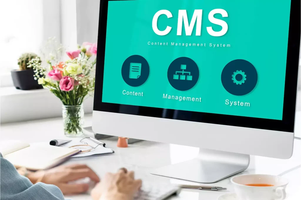 CMS Website Development in Dubai